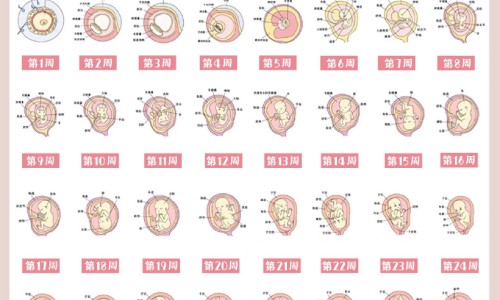 【哺乳期母犬吃什么狗粮】哺乳期母犬吃什么狗粮 - 哺乳期母犬网